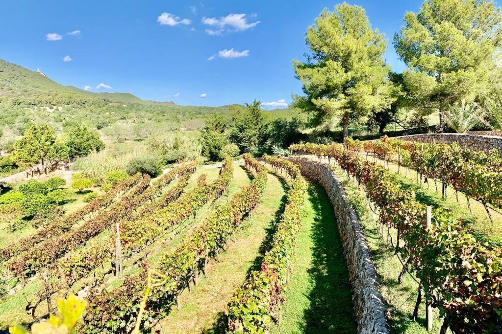 Es Castell De Ca N'Alou De Ses Cases Noves S'Horta Buitenkant foto