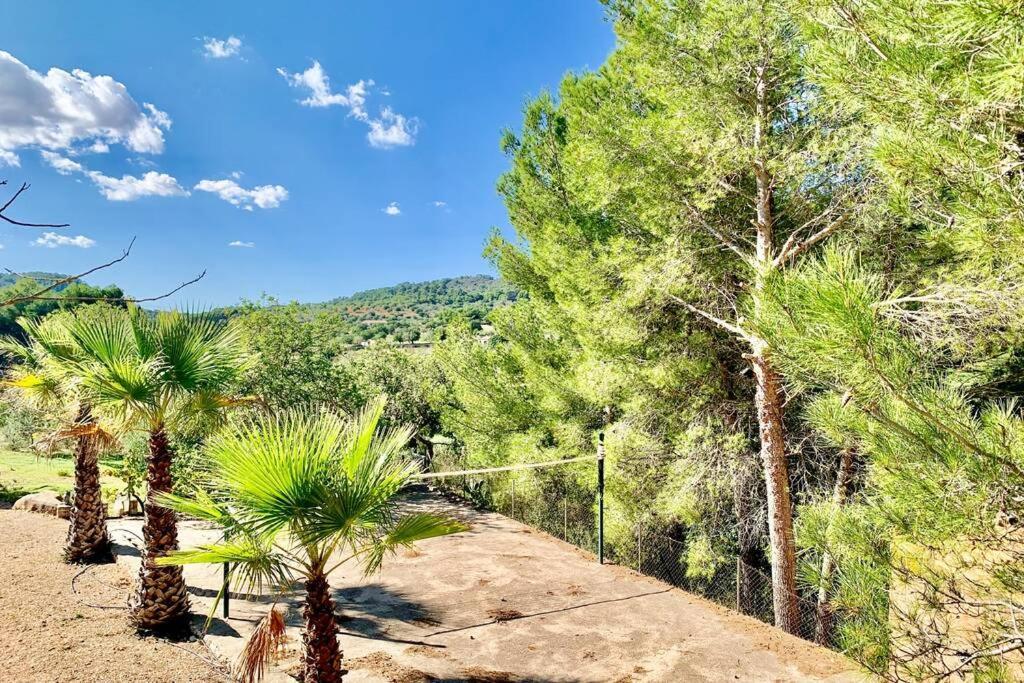 Es Castell De Ca N'Alou De Ses Cases Noves S'Horta Buitenkant foto